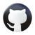 GitHub icon